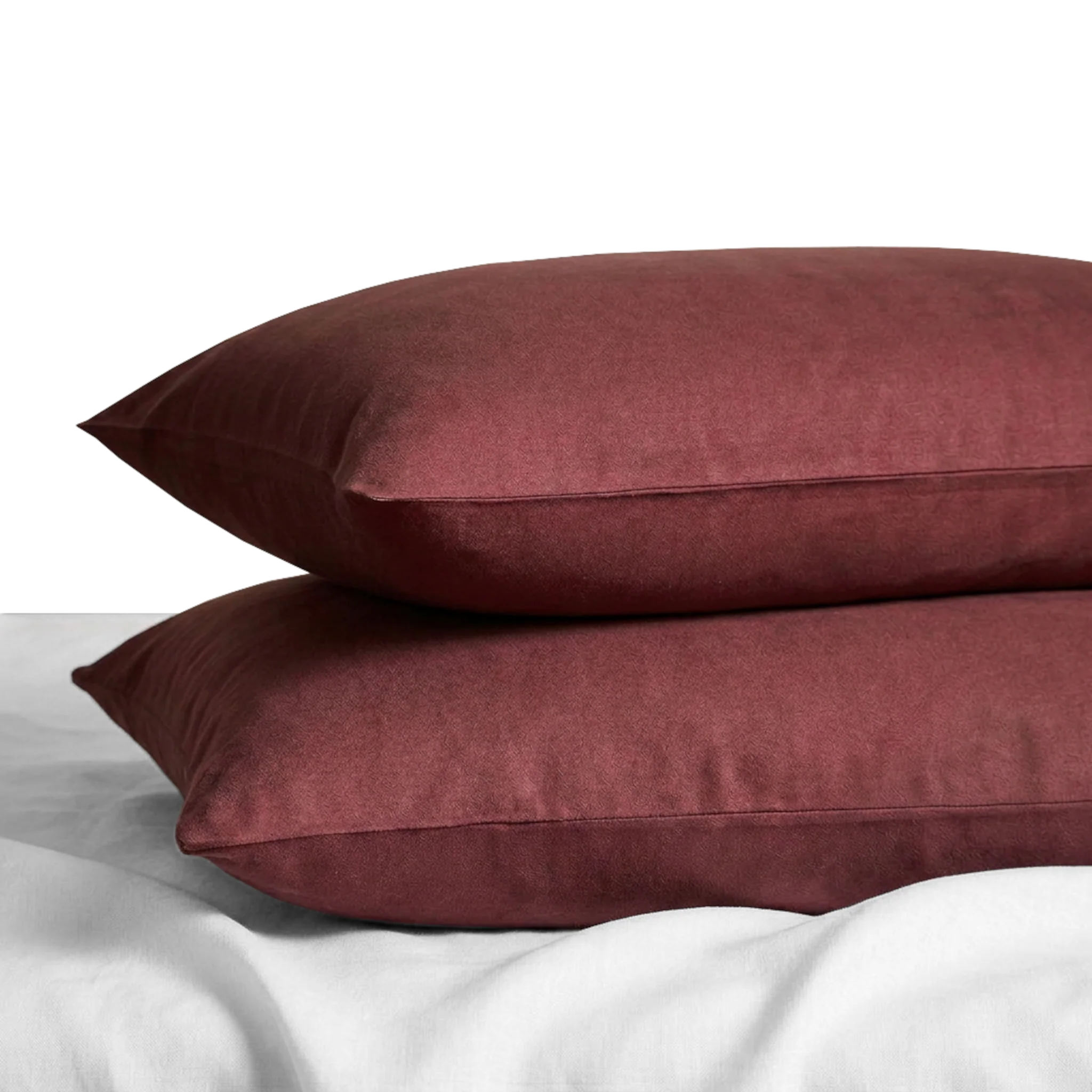 Ex MS (Major Store) Brushed Cotton Rust Pillowcases 2 x 2 Pack - Image 3